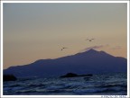 La lontananza è come il mare La lontananza è come il mare