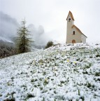 La forza della primavera La forza della primavera