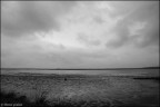 Laguna