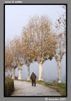 verso la nebbia verso la nebbia