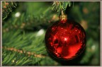 Buon Natale Buon Natale