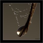 Agua y madera Agua y madera