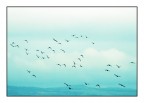 ...freedom... ...freedom...