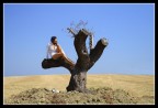 lei e l'albero lei e l'albero