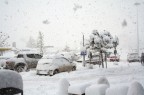 MI SA' CHE NEVICA ! MI SA' CHE NEVICA !