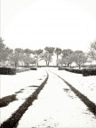 Winter Winter