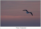 Verso il tramonto