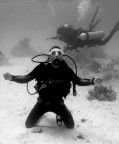 Sotto il mare Sotto il mare