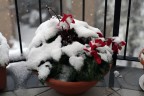 sotto la neve sotto la neve