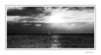 Oggi al mare Oggi al mare