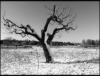 neve, 7 neve, 7