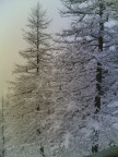 paesaggio innevato paesaggio innevato