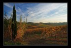 Ultimi colori in collina Ultimi colori in collina