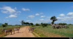 Kenya che amore...