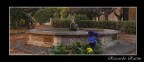 La Fontana Dimenticata La Fontana Dimenticata