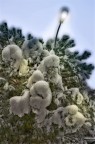 Riflessi sulla neve Riflessi sulla neve