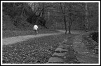 Passeggiando nel Parco Passeggiando nel Parco