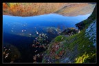 riflessi d'autunno riflessi d'autunno