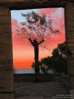 Portale del Dolore Portale del Dolore
