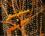 Buon Natale e felice 2008 per tutti gli amici del sito...