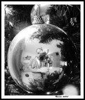 Riflessi Riflessi