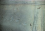 doppia esposizione doppia esposizione