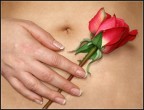 American Beauty American Beauty
