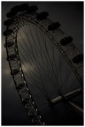 Eye Eye