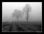 Scheletri nella Nebbia Scheletri nella Nebbia