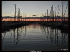Riva di Traiano