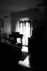 Dark & Light Dark & Light