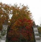 Autunno Autunno