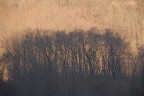 luce e controluce luce e controluce
