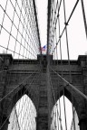 new york new york