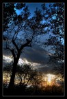 Sunset Sunset