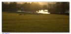 Un taglio particolare per godere degli ultimi raggi di sole sul laghetto e l`erbetta del parco....