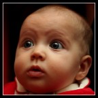 Commenti e critiche sono ben accetti ... luce , taglio etc...

Pedro