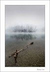 Dall'argine di un fiume Dall'argine di un fiume