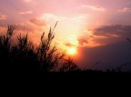 Tramonto Tramonto