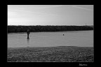 Solitario Solitario