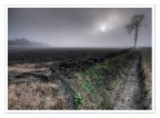 resistere nella nebbia padana resistere nella nebbia padana