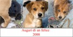 Auguri di un felice 2008 Auguri di un felice 2008