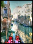 venice venice