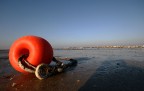 Bellaria 31.12 Bellaria 31.12