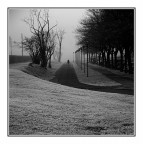 Qualcuno dalla nebbia