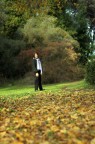 tappeto d'autunno tappeto d'autunno