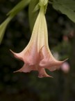 macro2 macro2