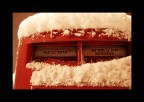 La Neve e Noi3 La Neve e Noi3