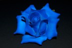 Rosa-Blu Rosa-Blu