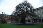 Trinity College Trinity College